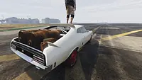 1973 Ford Falcon Interceptor [Add-On | VehFuncs V] for GTA 5
